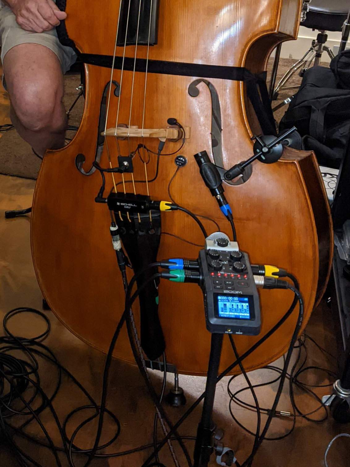 Mic Bleed Test crop.jpg