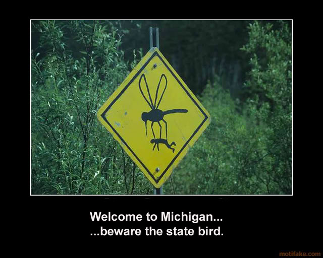 michigan-bird.jpg
