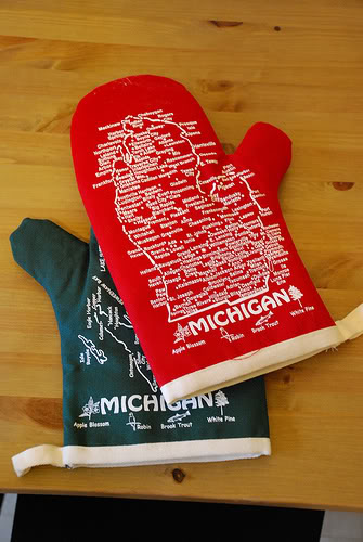 michiganmitt.jpg