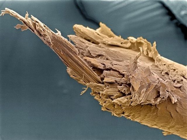 microscope_02.jpg