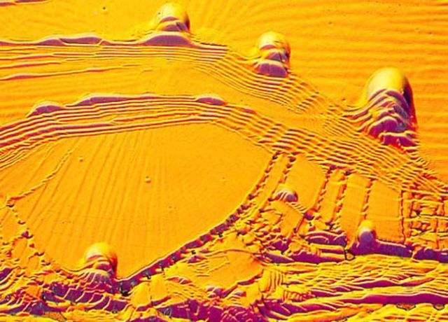 microscope_48.jpg