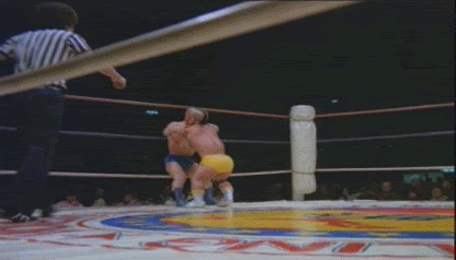 MidgetWrestling.gif