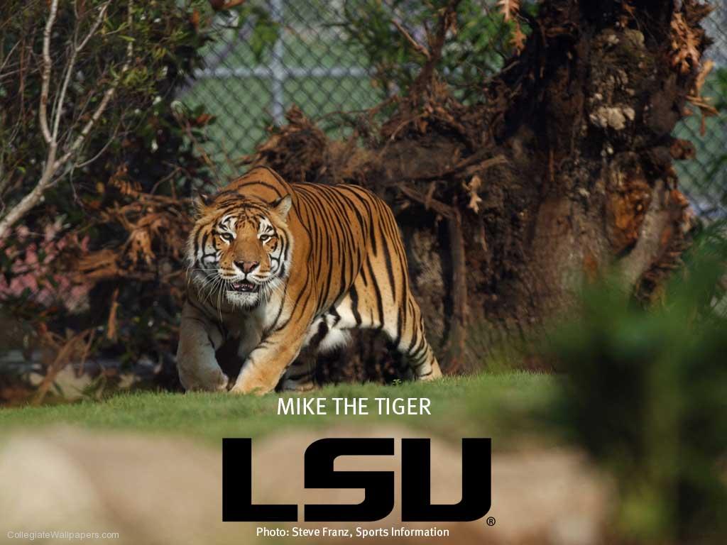 Mike-the-Tiger-1.jpg