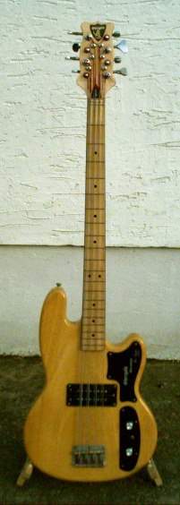 Mike's8-string.jpeg
