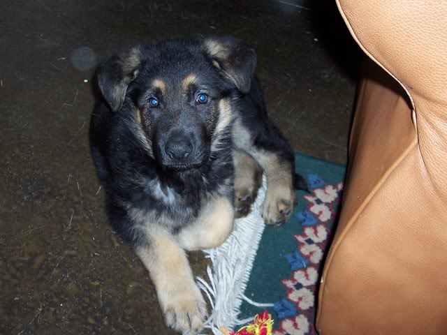 MilesMay202008001.jpg