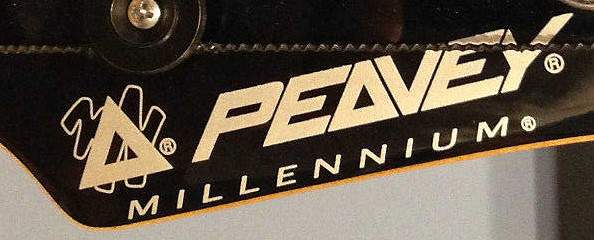 Millennium USA logo.jpg