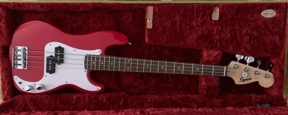 Mini-Strat-case1.jpg