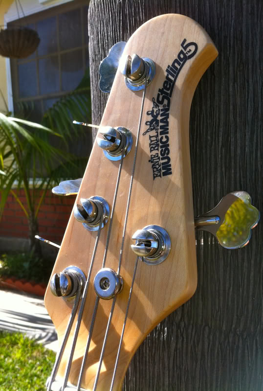 MMsterling5headstock.jpg