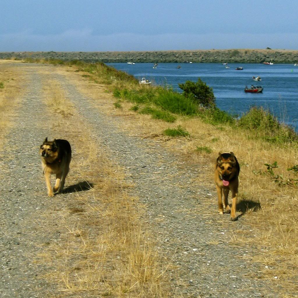 moampgijetty_zpsdd0b02fc.jpg