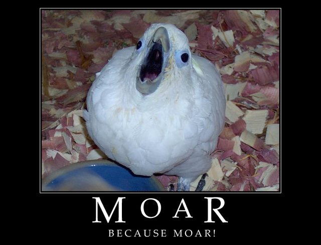 MOAR1.jpg