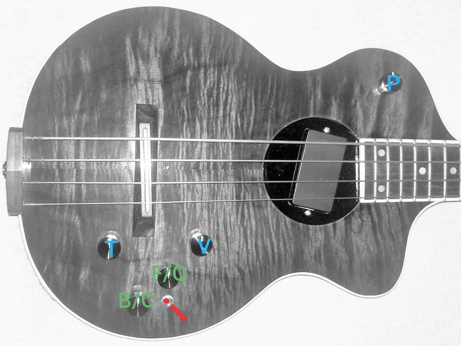 Model One bass controls.jpeg