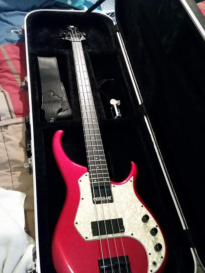 modulus bass.jpg