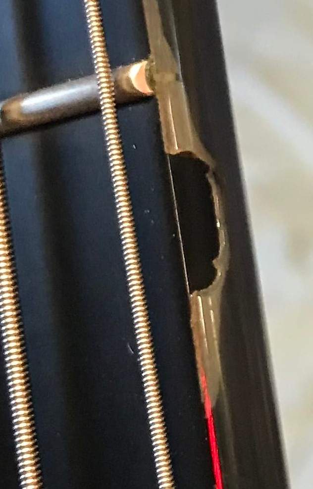 ModulusBassNeckChip.jpg