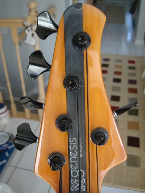 Modulusheadstock2.jpg