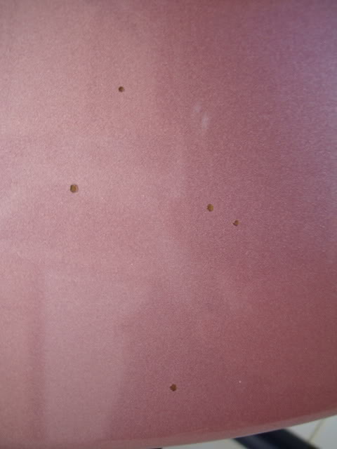 Moduluspaintchips5.jpg