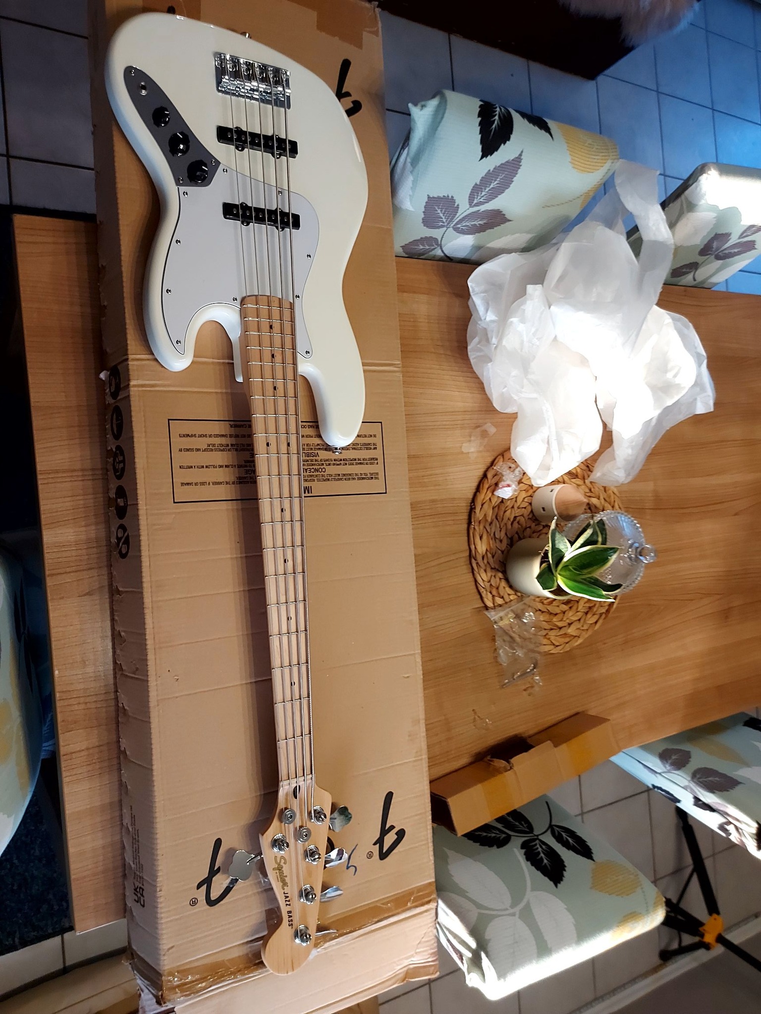 Moj Squier 4.jpg