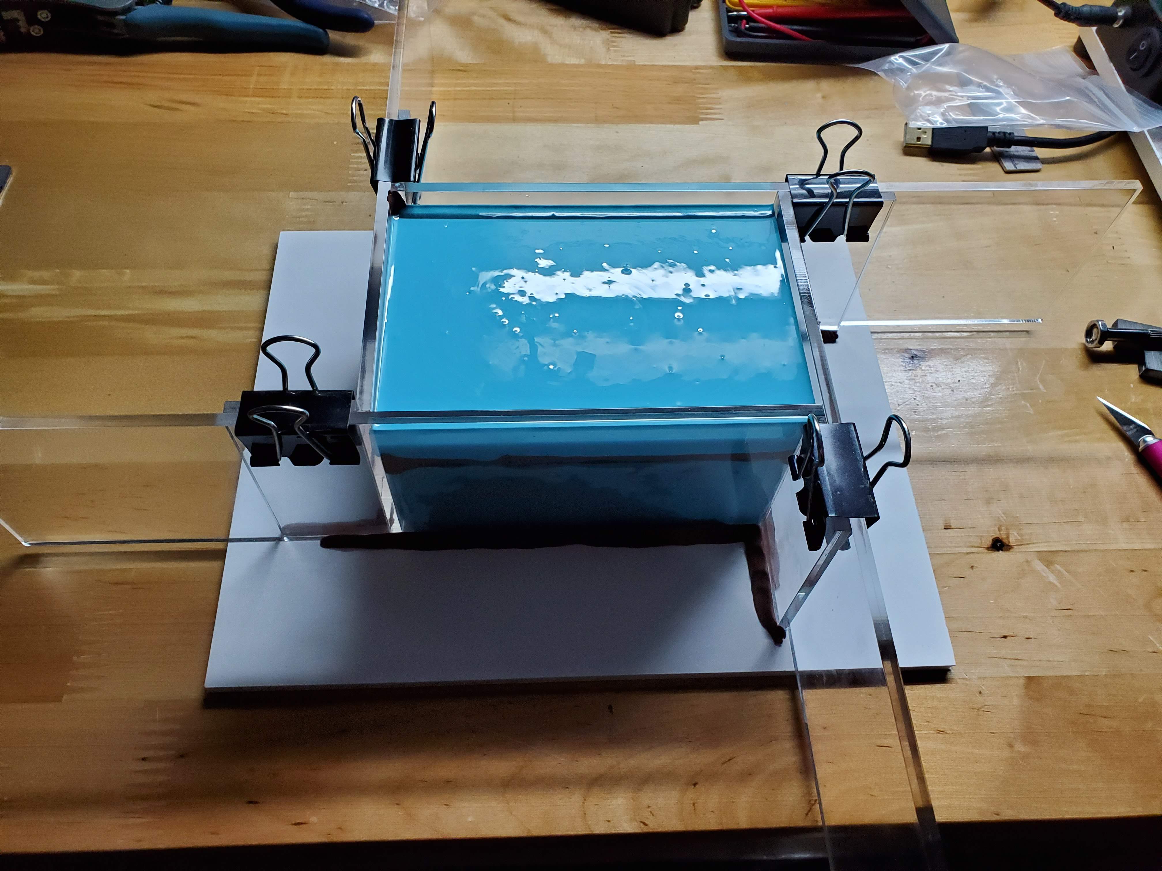 mold1.jpg