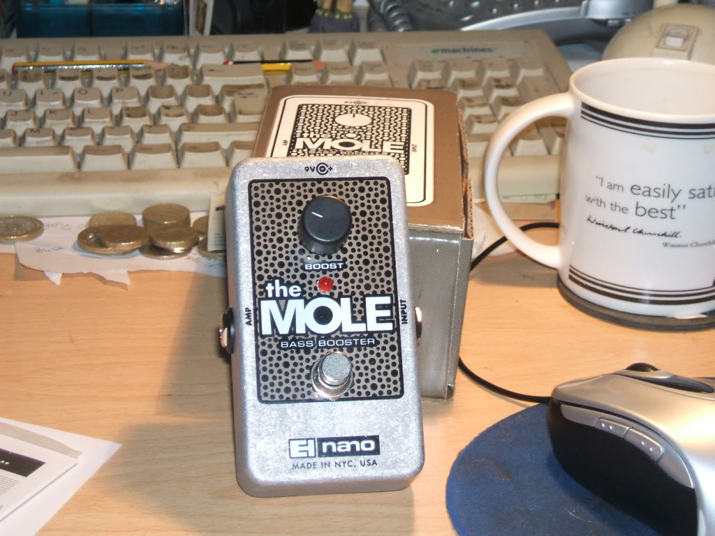mole2.jpg