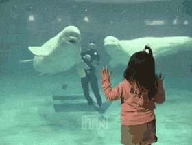 mon-2.gif