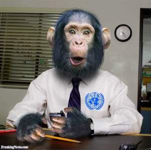 Monkey B.jpg