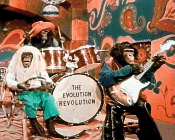 Monkey Band!.jpg