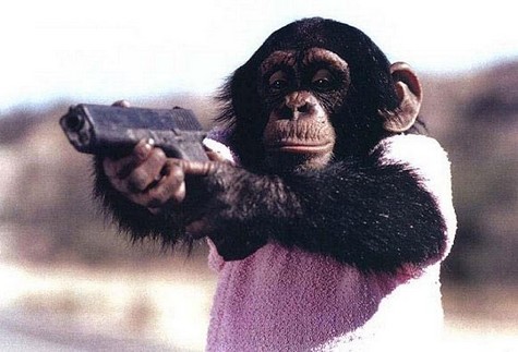 Monkey_20w_20gun_small.jpg