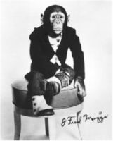 monkey_tux.jpg