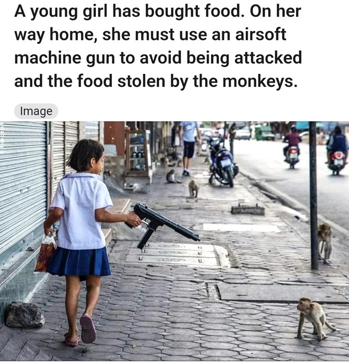 monkeys amazing.jpg