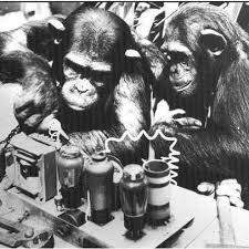Monkeys building An Amp.jpg