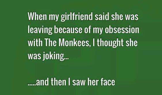 monkeys.jpg