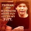 monkeys.png