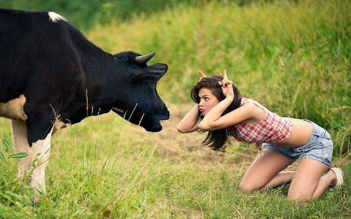 Moo.jpg