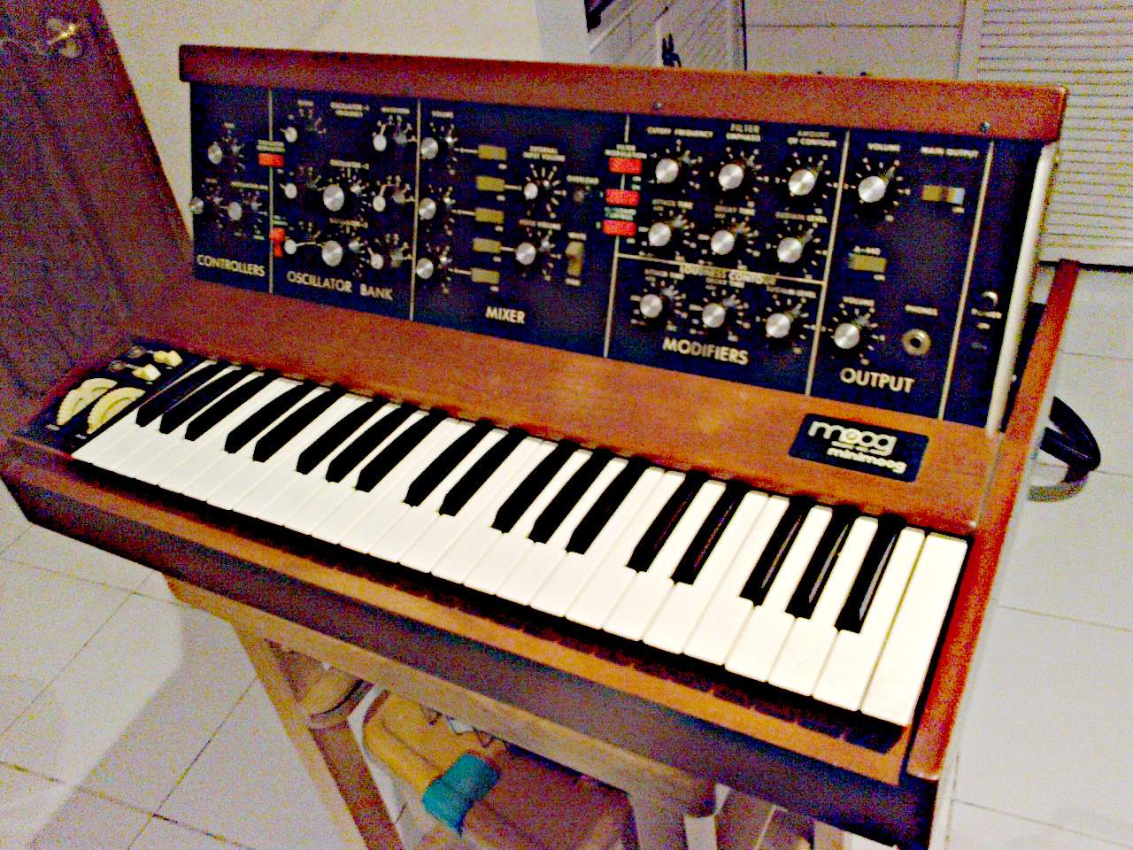 MOOG D SLAP (1) - Copy.jpg