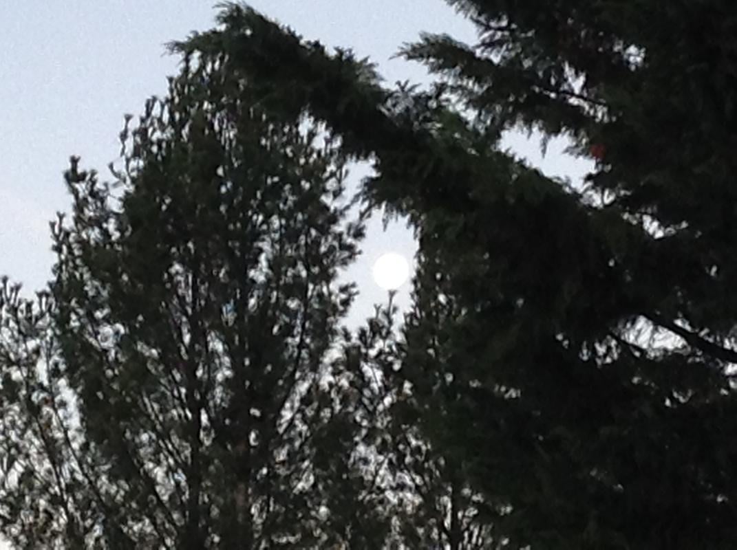Moon_on_a_golf_tee.jpg