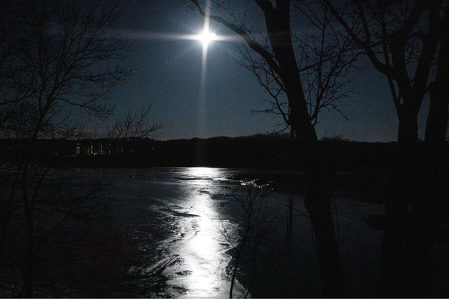 moonlight.jpg