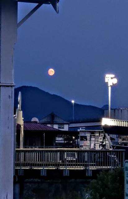 moonrise.jpg