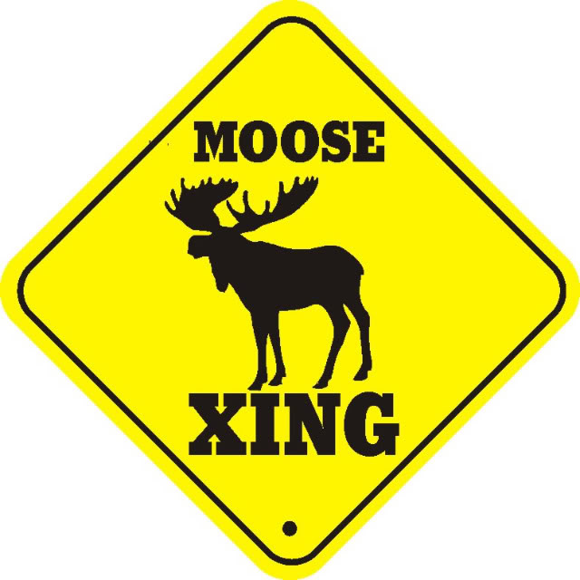 Moose_xing_thumb_640.jpg