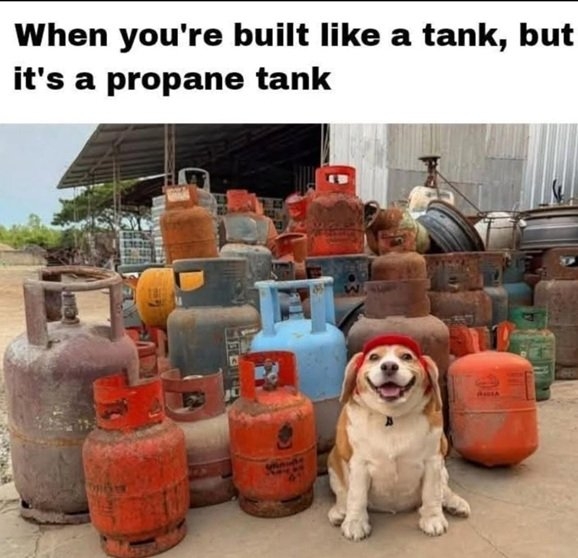 mootoo.jpg