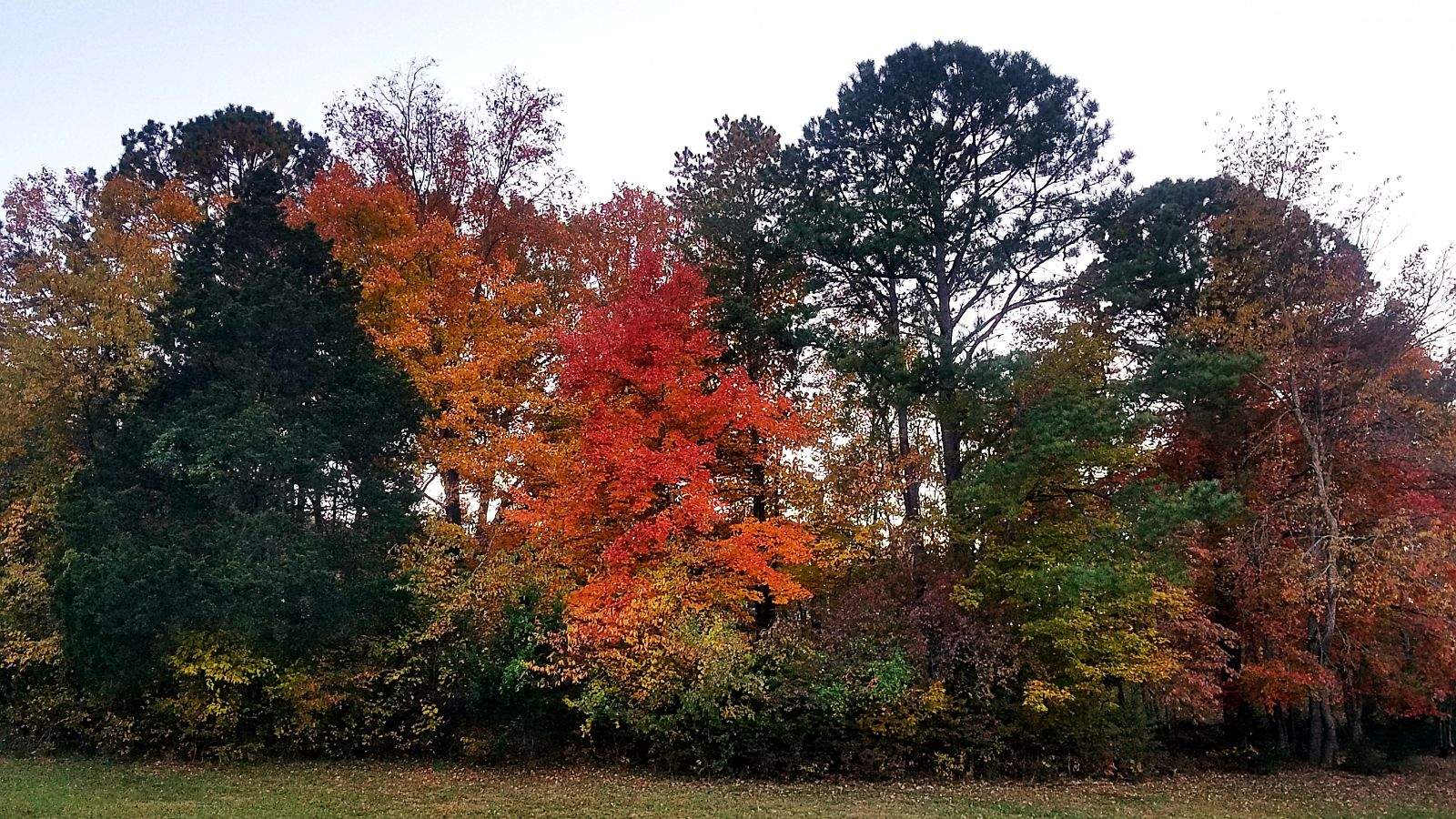 more colors.jpeg