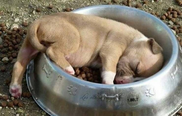 morning_picdump_3209_640_28.jpg