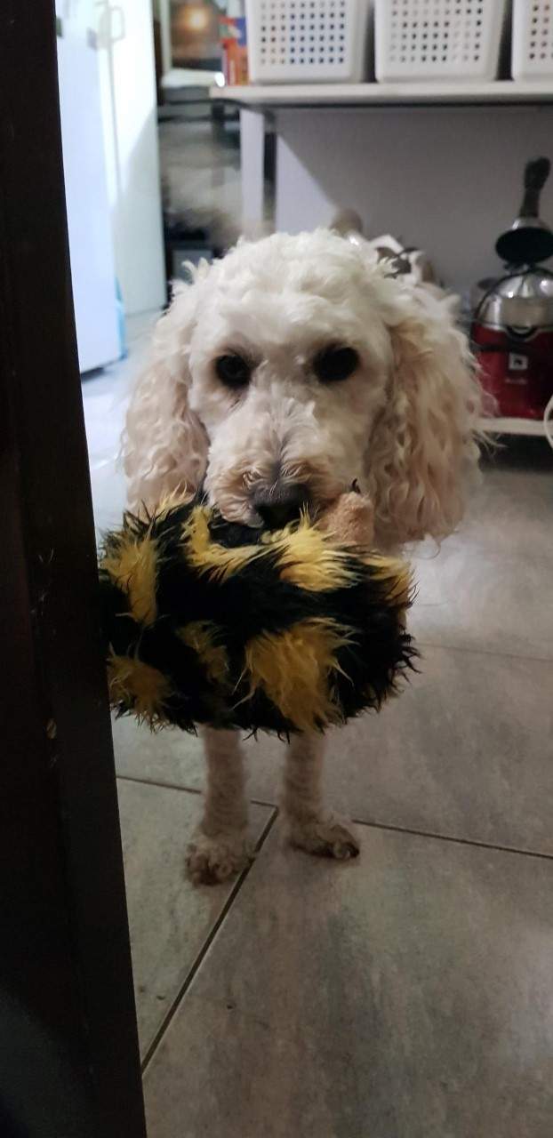 Morwenna and Hedgehog.jpg