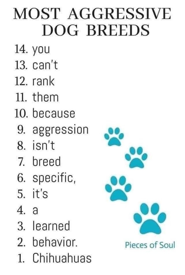 most-aggressive-dog-breed-v0-g0ruhevbq74c1.jpeg