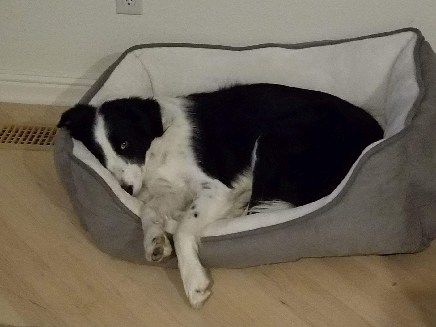 most comfortable.jpg