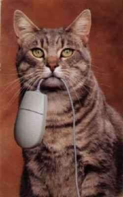 mouser 2.jpg