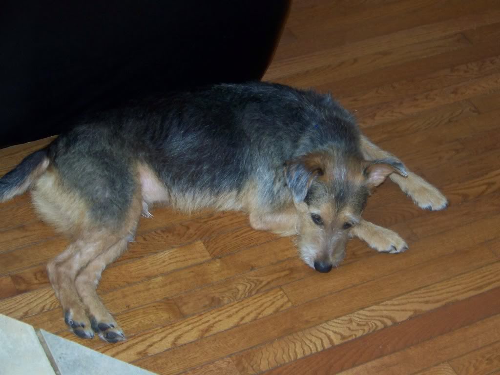 Moxie11_11.jpg
