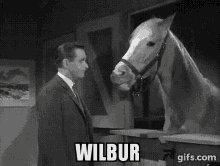 mred-horse.gif