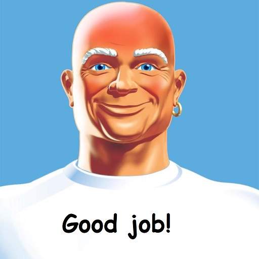 mt clean.jpg