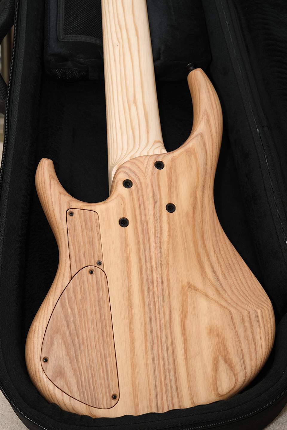 MTD-BluesyLee-4a.jpg