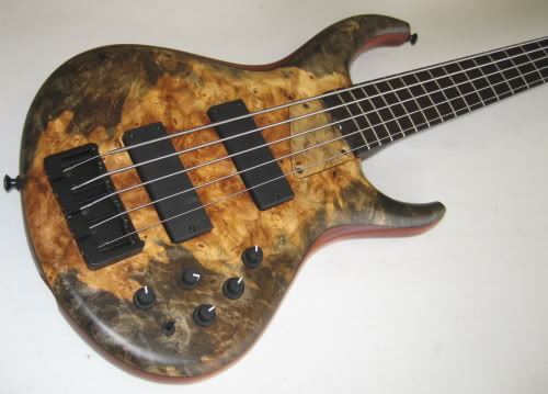 mtd.jpg