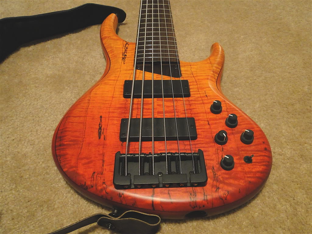 mtd.jpg